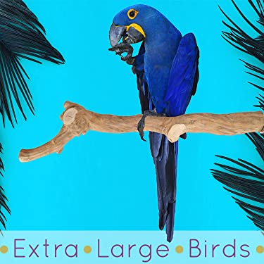 Extra Large Birds