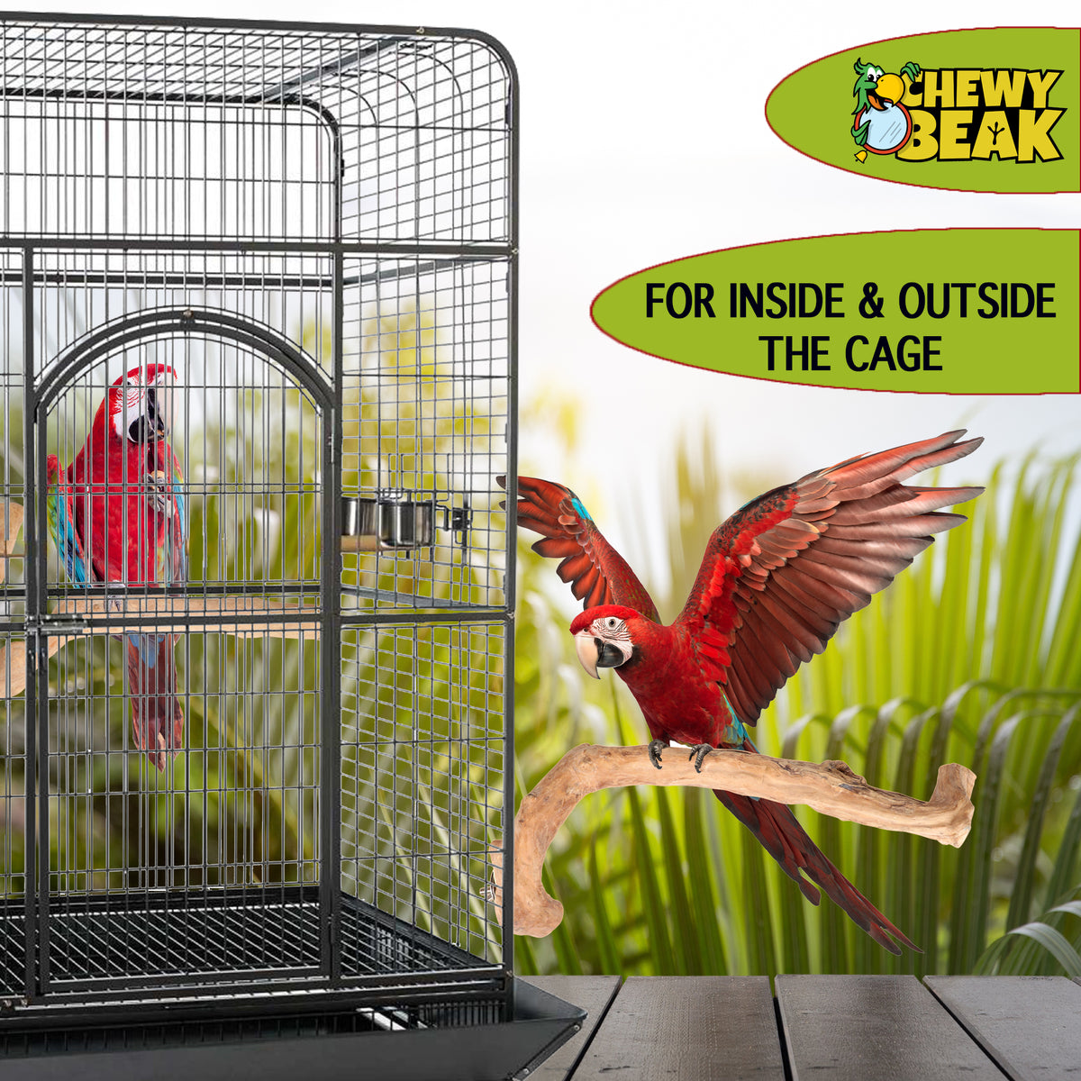 birds supplies Dubai perch Indonesian java wood UAE cage accessories