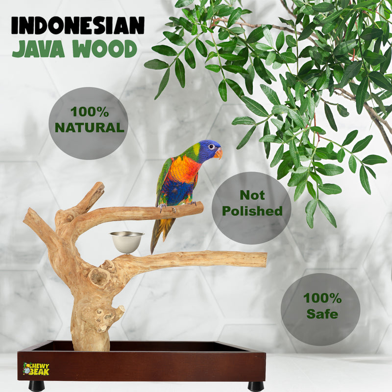 Parrot playpen bird play stand parrot wooden bird stand java wood parrot stand Dubai