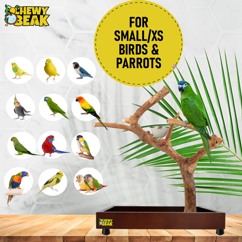 Parrot playpen bird play stand parrot wooden bird stand java wood parrot stand Dubai