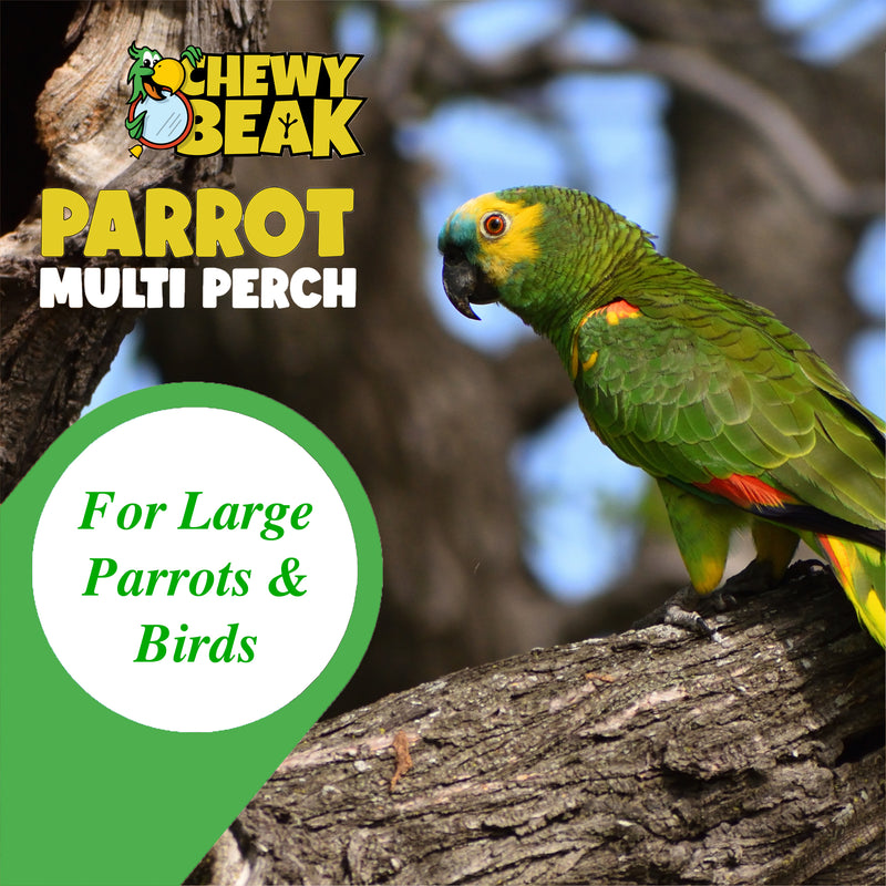 Parrot Perches Bird Cage perch java wood parrot stand for parrots Dubai bird  accessories