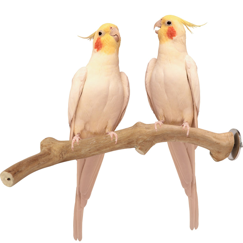 Parrot playpen bird play stand parrot wooden bird stand java wood parrot stand Dubai