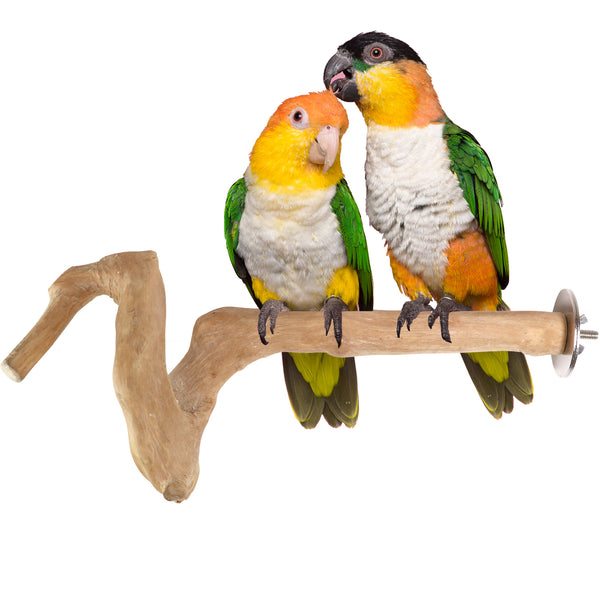 Parrot Perches Bird Cage perch java wood parrot stand for parrots Dubai bird accessories