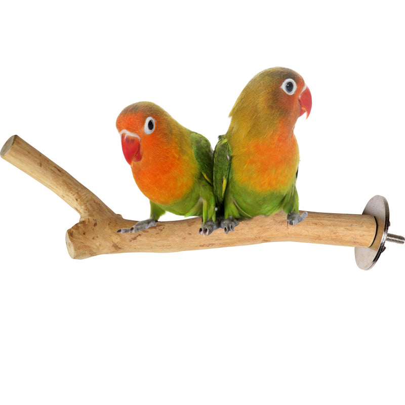 Parrot playpen bird play stand parrot wooden bird stand java wood parrot stand Dubai