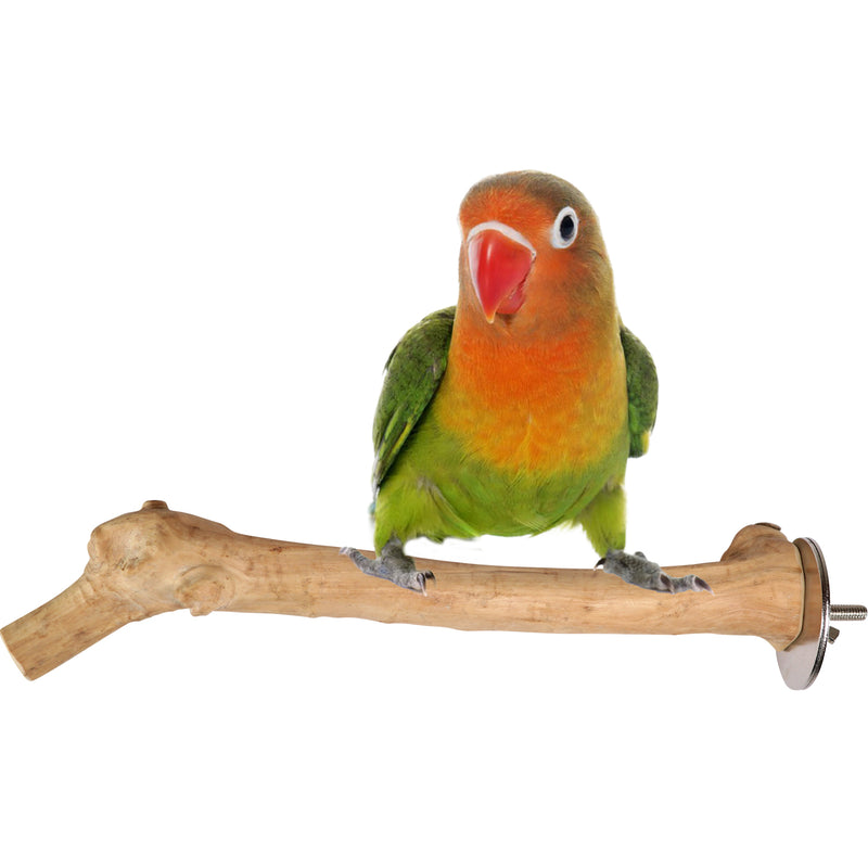 Parrot playpen bird play stand parrot wooden bird stand java wood parrot stand Dubai