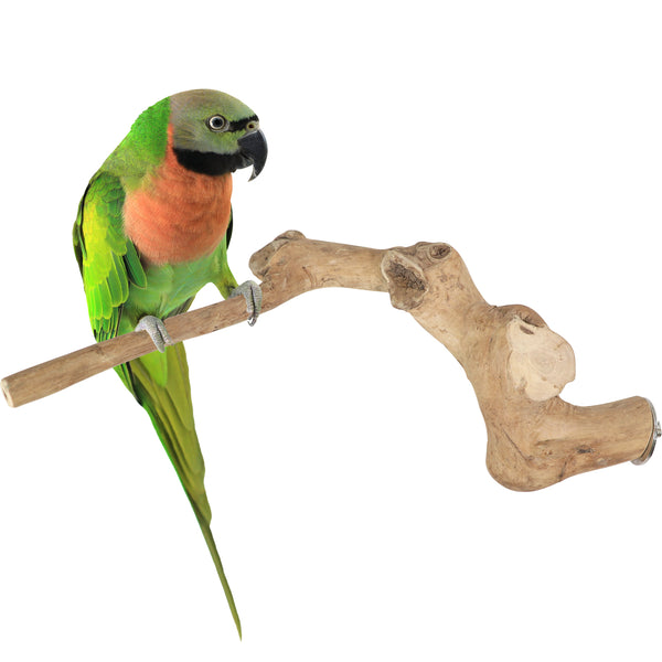 Parrot Perches Bird Cage perch java wood parrot stand for parrots Dubai bird accessories