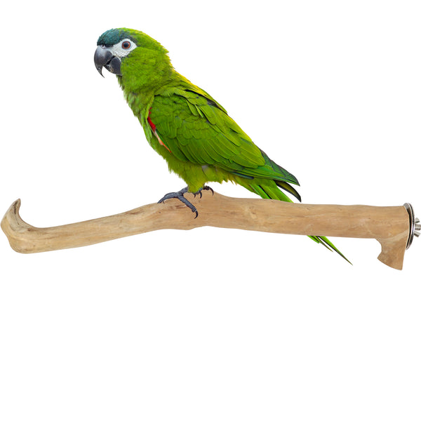 Parrot Perches Bird Cage perch java wood parrot stand for parrots Dubai bird accessories