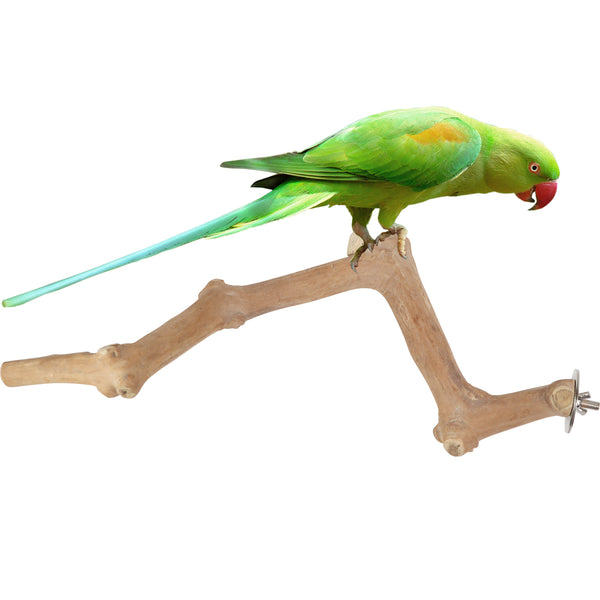 Parrot Perches Bird Cage perch java wood parrot stand for parrots Dubai bird accessories