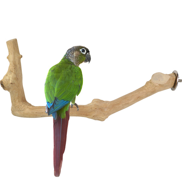 Parrot Perches Bird Cage perch java wood parrot stand for parrots Dubai bird accessories