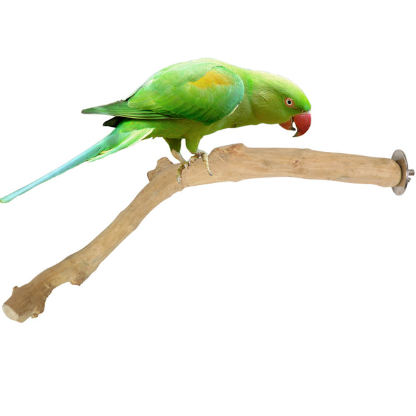 Parrot Perches Bird Cage perch java wood parrot stand for parrots Dubai bird accessories