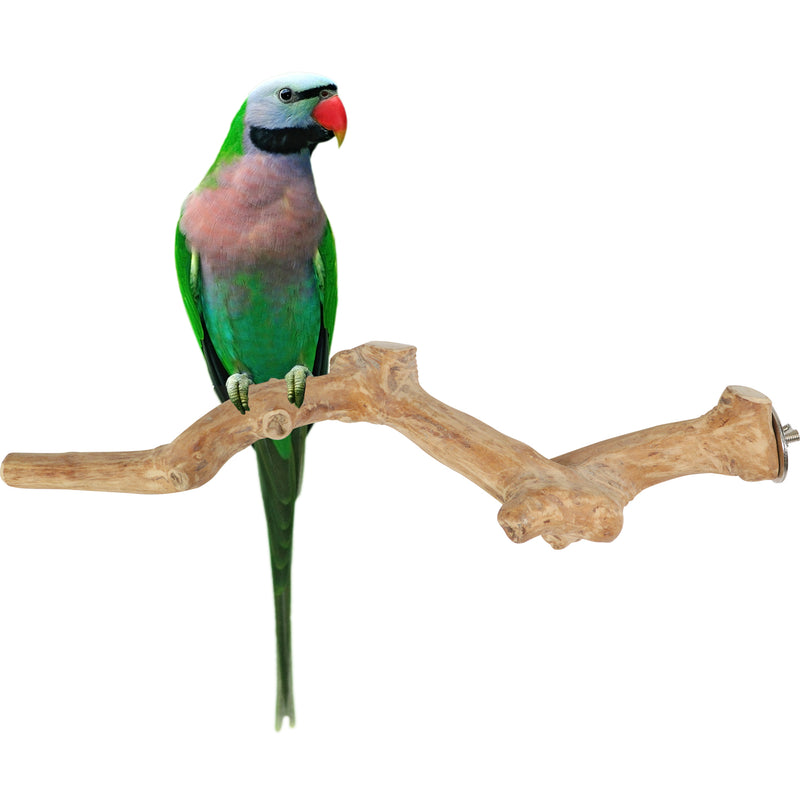 Parrot playpen bird play stand parrot wooden bird stand java wood parrot stand Dubai