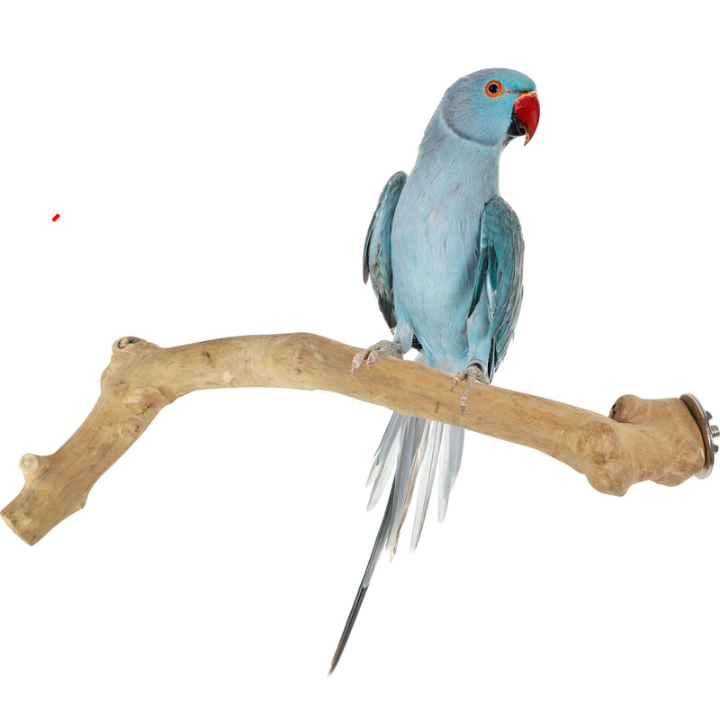 Parrot Perches Bird Cage perch java wood parrot stand for parrots Dubai bird accessories