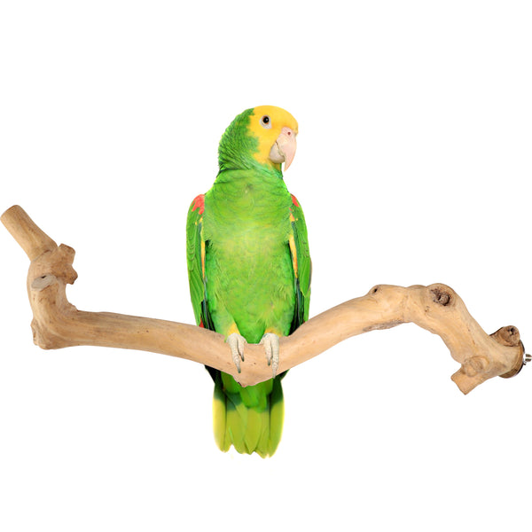 Parrot Perches Bird Cage perch java wood parrot stand for parrots Dubai bird accessories