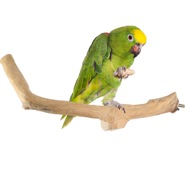 Parrot Perches Bird Cage perch java wood parrot stand for parrots Dubai bird accessories