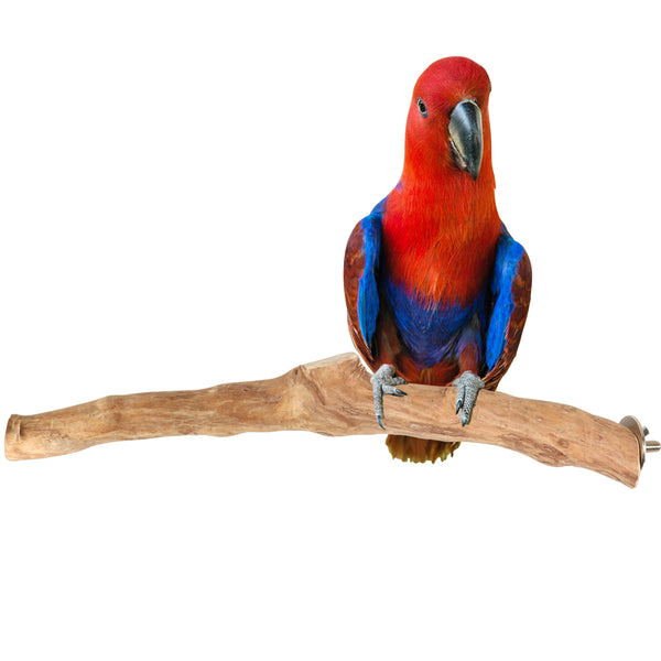 Parrot Perches Bird Cage perch java wood parrot stand for parrots Dubai bird accessories