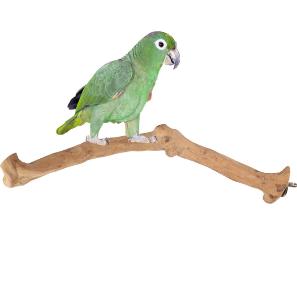 Parrot Perches Bird Cage perch java wood parrot stand for parrots Dubai bird accessories