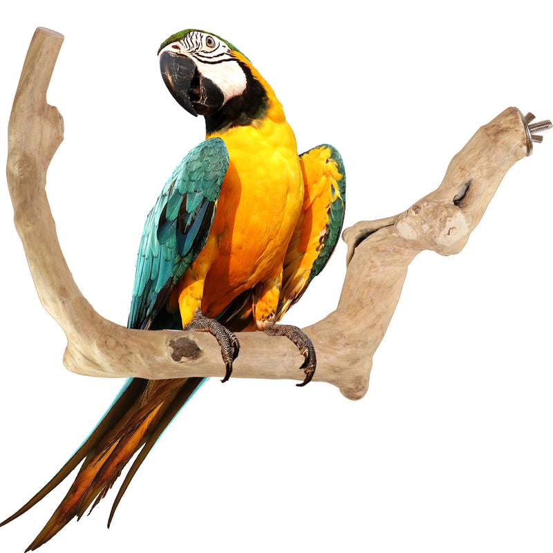 Parrot Perches Bird Cage perch java wood parrot stand for parrots Dubai bird accessories