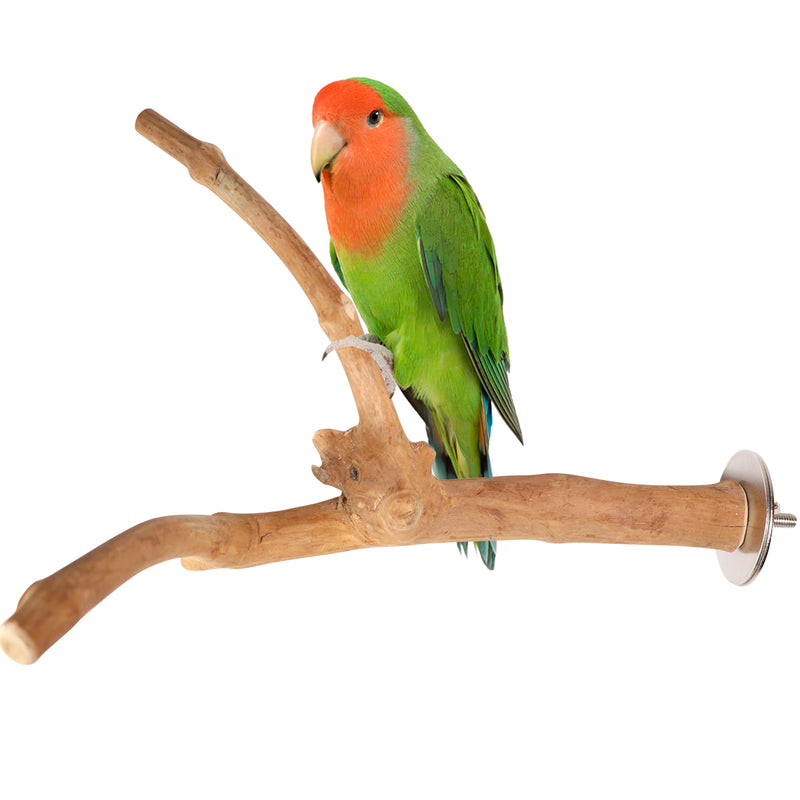 Parrot playpen bird play stand parrot wooden bird stand java wood parrot stand Dubai