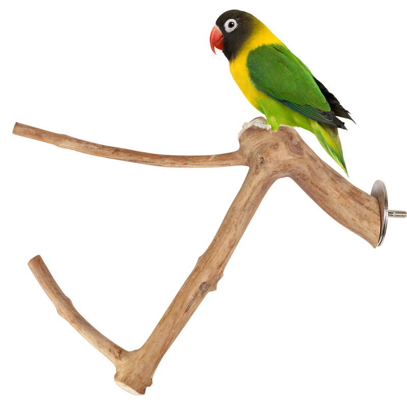 Parrot Perches Bird Cage perch java wood parrot stand for parrots Dubai bird accessories