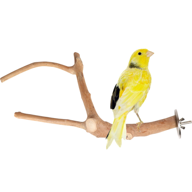 Parrot Perches Bird Cage perch java wood parrot stand for parrots Dubai bird accessories