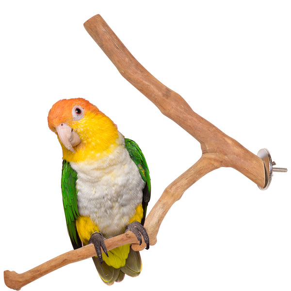 Parrot Perches Bird Cage perch java wood parrot stand for parrots Dubai bird accessories