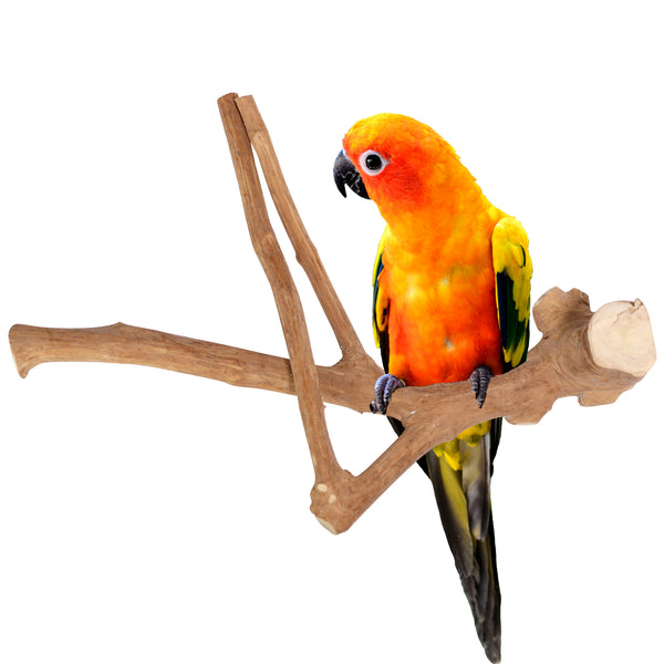 Parrot Perches Bird Cage perch java wood parrot stand for parrots Dubai bird accessories