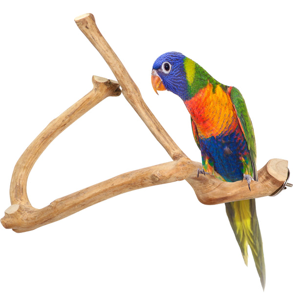 Parrot Perches Bird Cage perch java wood parrot stand for parrots Dubai bird accessories