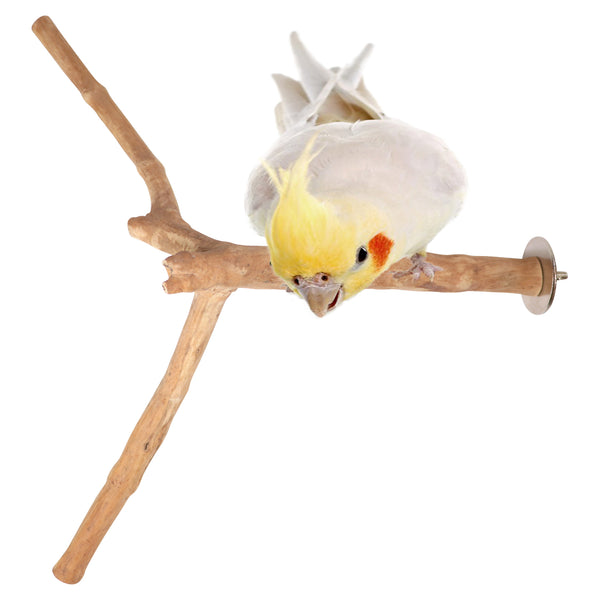 Parrot Perches Bird Cage perch java wood parrot stand for parrots Dubai bird accessories