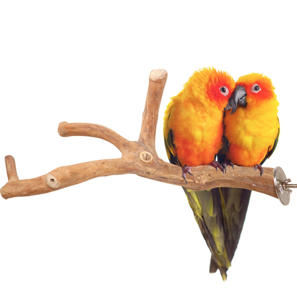 Parrot playpen bird play stand parrot wooden bird stand java wood parrot stand Dubai