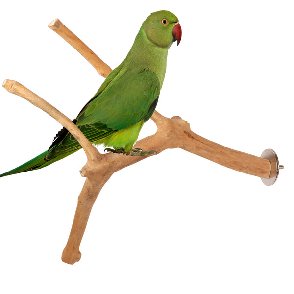 Parrot Perches Bird Cage perch java wood parrot stand for parrots Dubai bird accessories