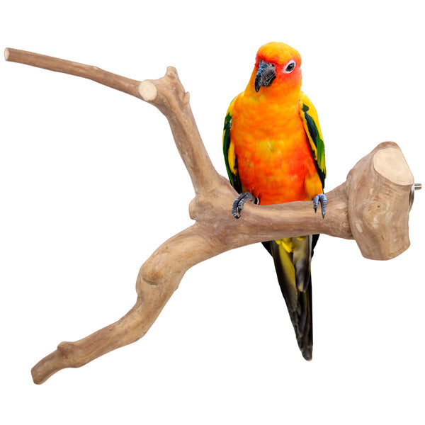 Parrot Perches Bird Cage perch java wood parrot stand for parrots Dubai bird accessories