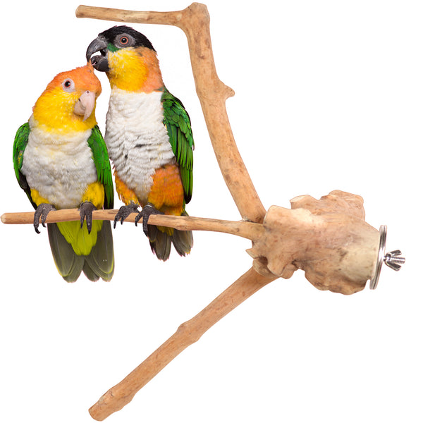 Parrot Perches Bird Cage perch java wood parrot stand for parrots Dubai bird accessories