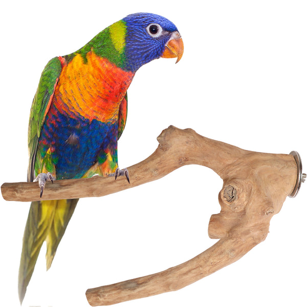 Parrot Perches Bird Cage perch java wood parrot stand for parrots Dubai bird accessories