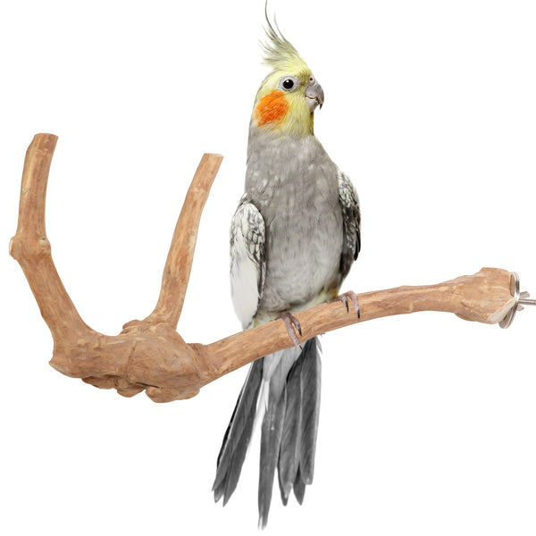 Parrot playpen bird play stand parrot wooden bird stand java wood parrot stand Dubai