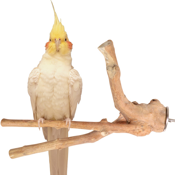 Parrot playpen bird play stand parrot wooden bird stand java wood parrot stand Dubai