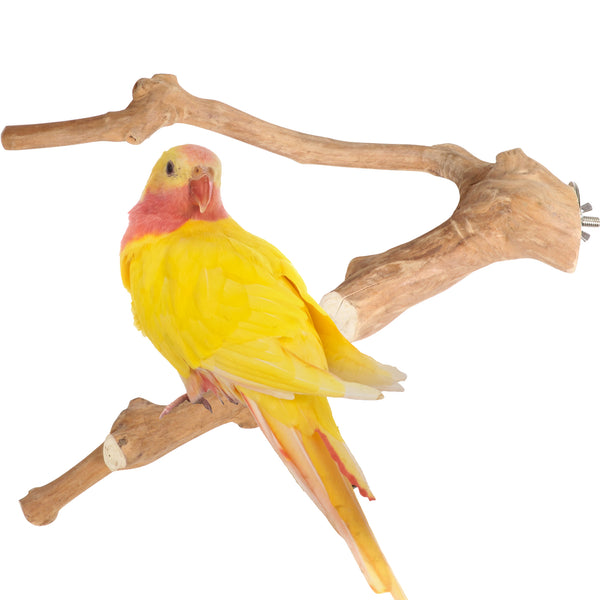 Parrot playpen bird play stand parrot wooden bird stand java wood parrot stand Dubai