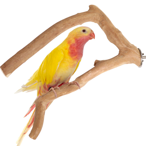 Parrot playpen bird play stand parrot wooden bird stand java wood parrot stand Dubai