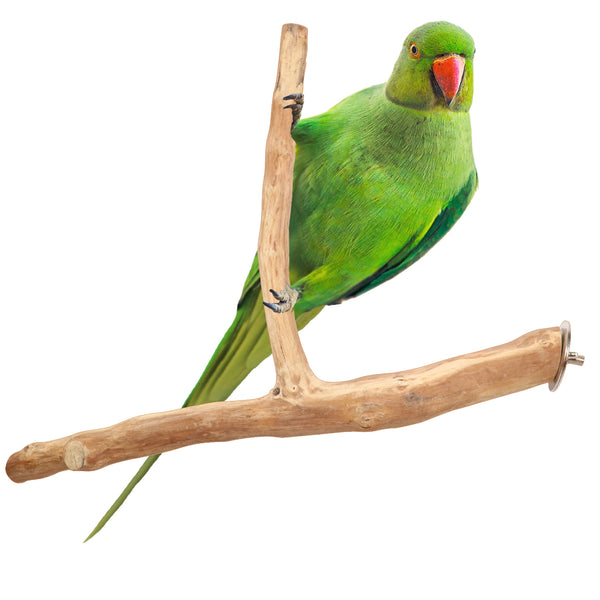 Parrot Perches Bird Cage perch java wood parrot stand for parrots Dubai bird accessories