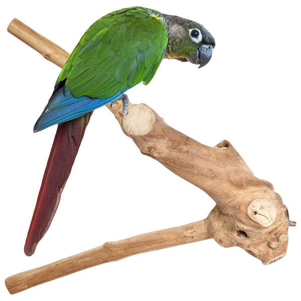 Parrot Perches Bird Cage perch java wood parrot stand for parrots Dubai bird accessories