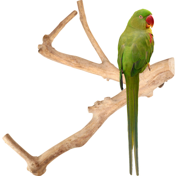 Parrot Perches Bird Cage perch java wood parrot stand for parrots Dubai bird accessories