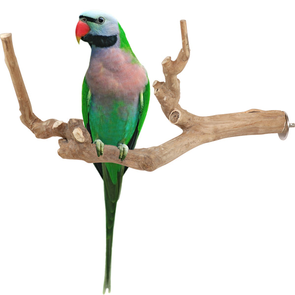 Parrot Perches Bird Cage perch java wood parrot stand for parrots Dubai bird accessories