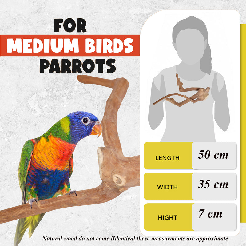 Parrot Perches Bird Cage perch java wood parrot stand for parrots Dubai bird accessories