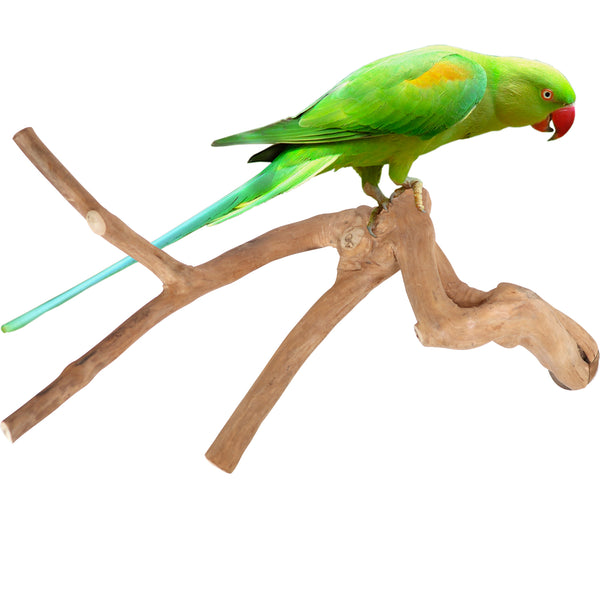 Parrot Perches Bird Cage perch java wood parrot stand for parrots Dubai bird accessories