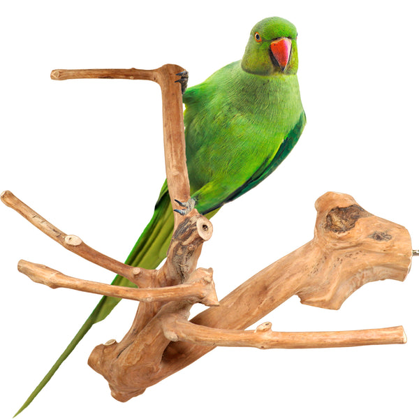 Parrot Perches Bird Cage perch java wood parrot stand for parrots Dubai bird accessories