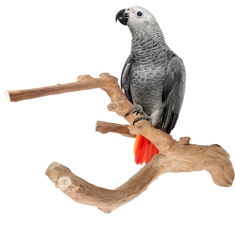 Parrot Perches Bird Cage perch java wood parrot stand for parrots Dubai bird  accessories