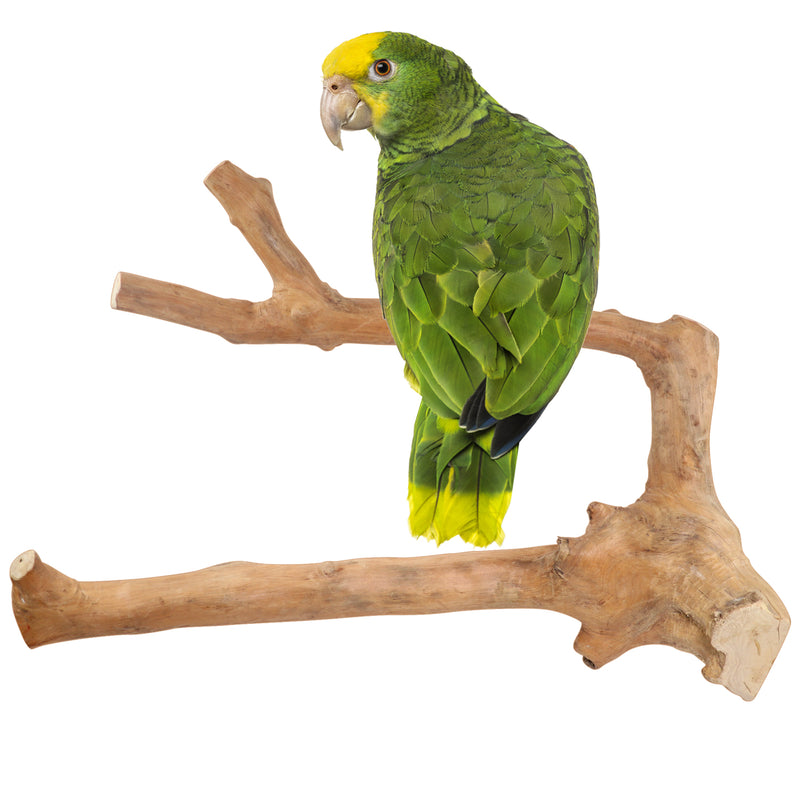 Parrot Perches Bird Cage perch java wood parrot stand for parrots Dubai bird  accessories