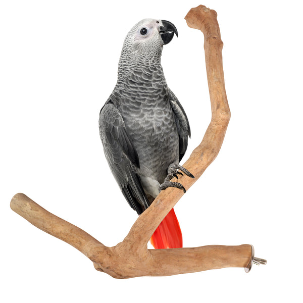 Parrot playpen bird play stand parrot wooden bird stand java wood parrot stand Dubai