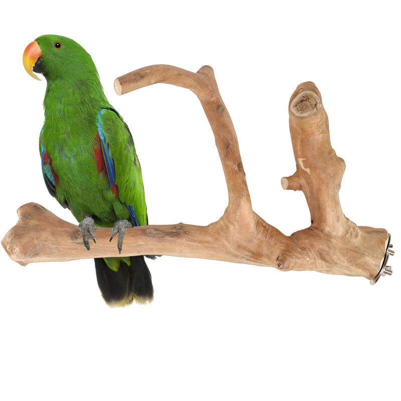 Parrot Perches Bird Cage perch java wood parrot stand for parrots Dubai bird  accessories