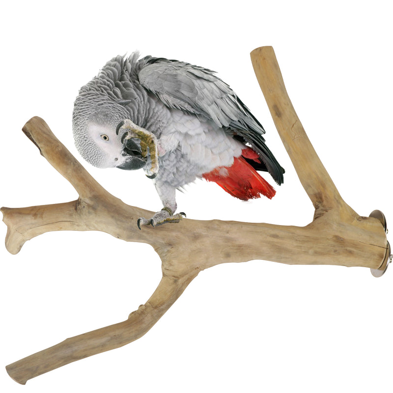 Parrot Perches Bird Cage perch java wood parrot stand for parrots Dubai bird  accessories