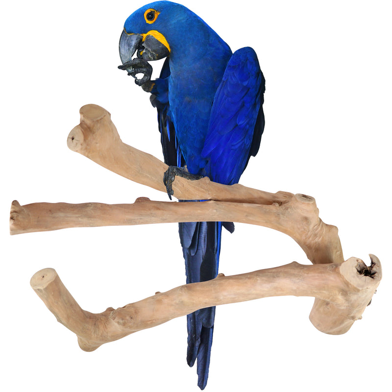 Parrot playpen bird play stand parrot wooden bird stand java wood parrot stand Dubai